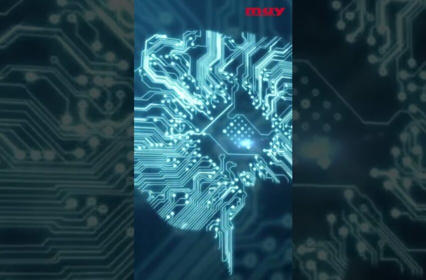  Estos SISTEMAS MAGNÉTICOS reproducen artificialmente las funciones de aprendizaje y olvido