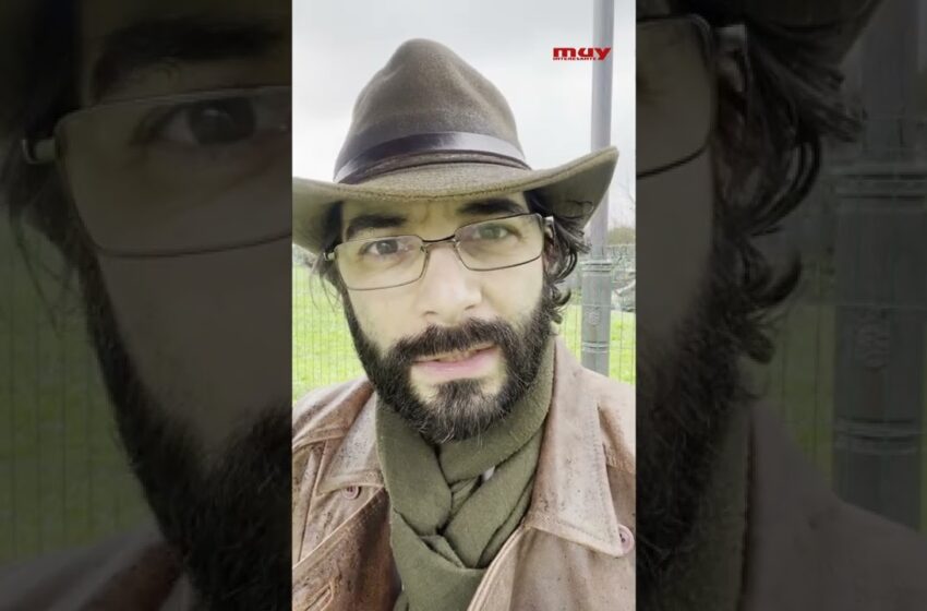  ¿Sienten dolor los INSECTOS?