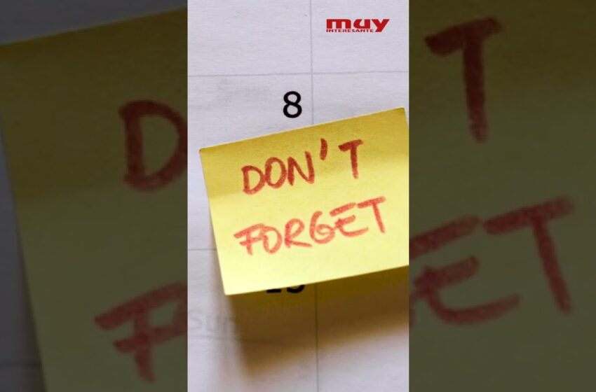  Solo existe un ÚNICO TIEMPO