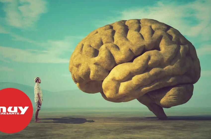  ¿Qué sucede en nuestro cerebro cuando morimos?