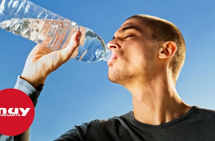  Así es como nuestros cerebros saben la cantidad de agua que necesitamos