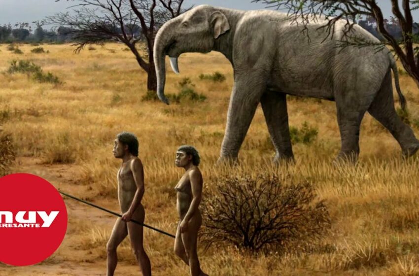  Comer carne no nos hizo humanos