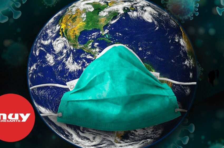  ¿Qué diferencia hay entre una endemia, una epidemia y una pandemia?