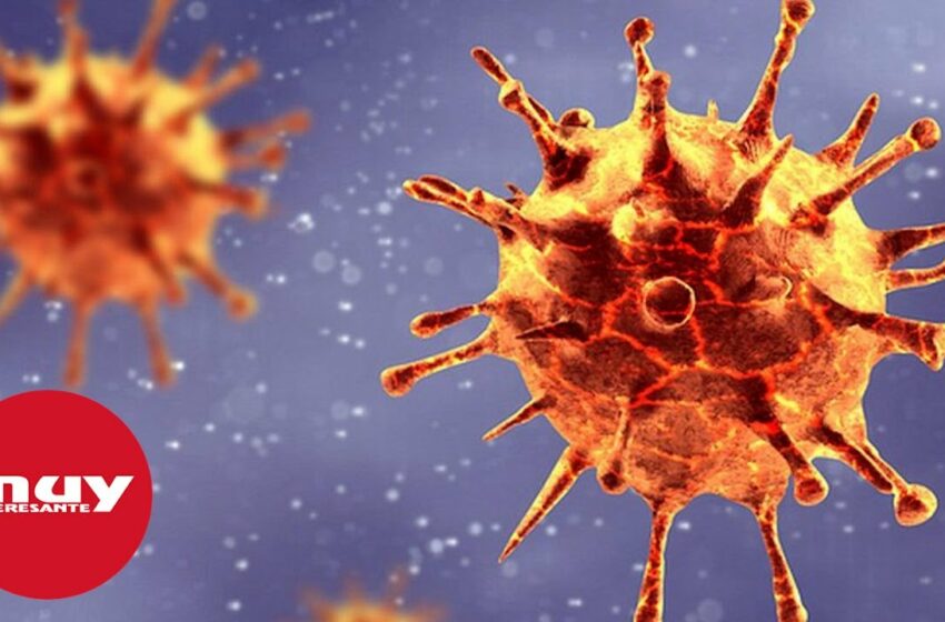  Detectan una nueva variante de COVID con 46 mutaciones