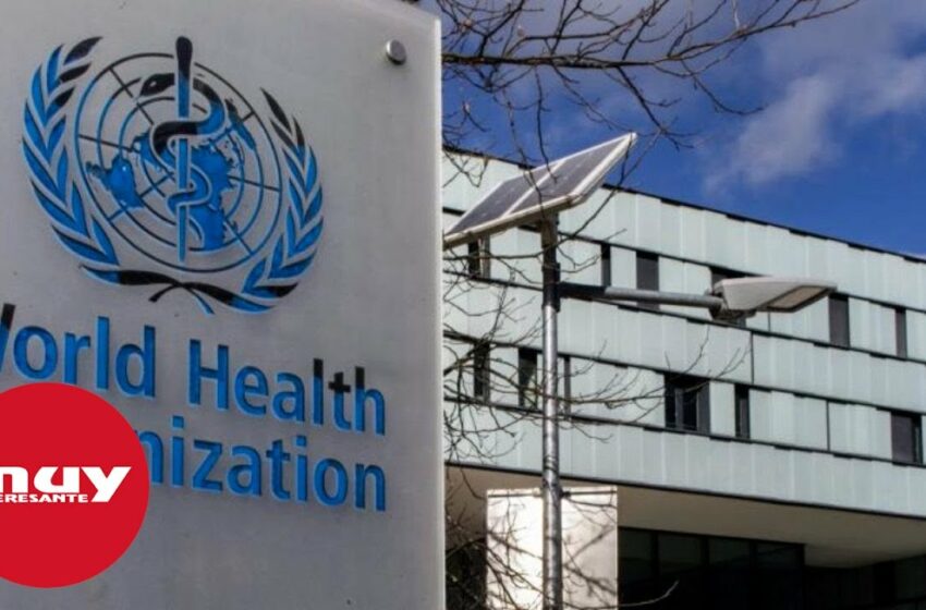  La OMS propone crear un acuerdo internacional para enfrentar futuras pandemias