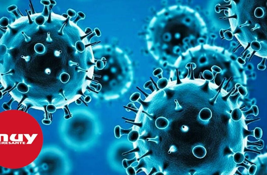  ¿Es realmente tan peligrosa la nueva variante ómicron?