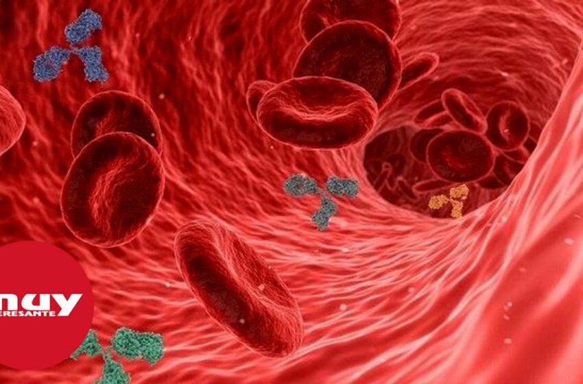  Hallan docenas de nuevos antibióticos naturales dentro del cuerpo humano