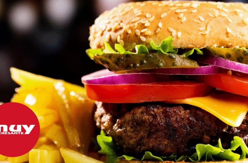  Hallan compuestos tóxicos en el 80% de los productos de comida rápida