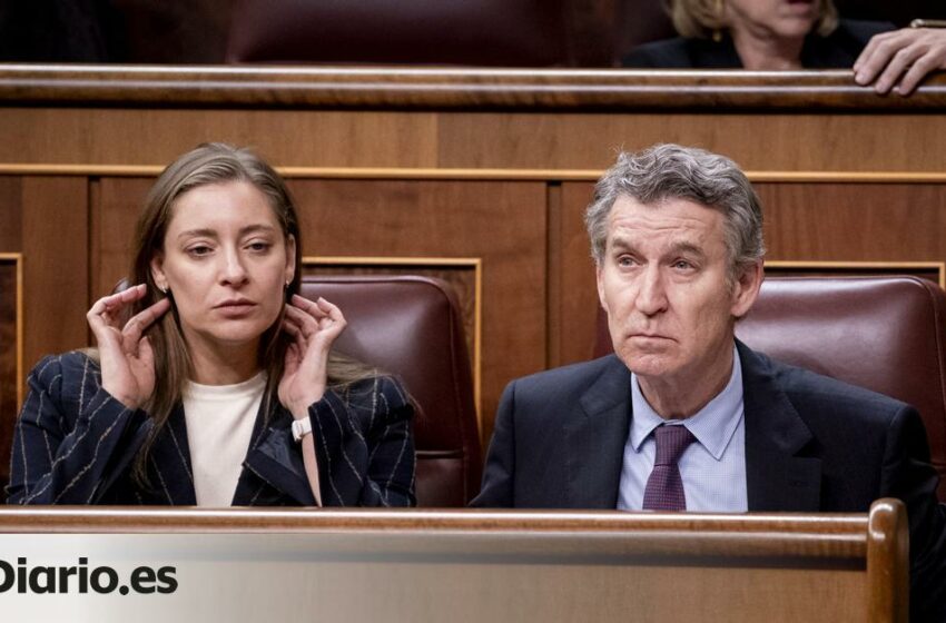  apoyará su iniciativa para prohibir el burka y el niqab