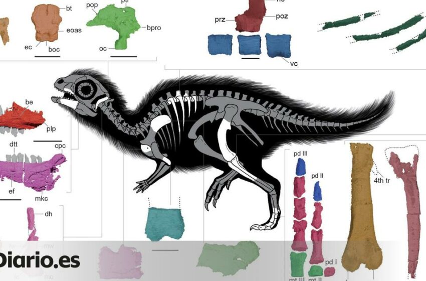  Así es Doolysaurus, el nuevo dinosaurio descubierto en Corea del Sur