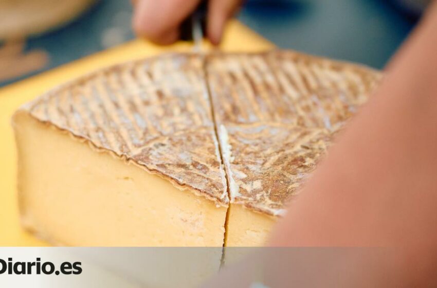  los cinco quesos que debes probar si viajas a Francia